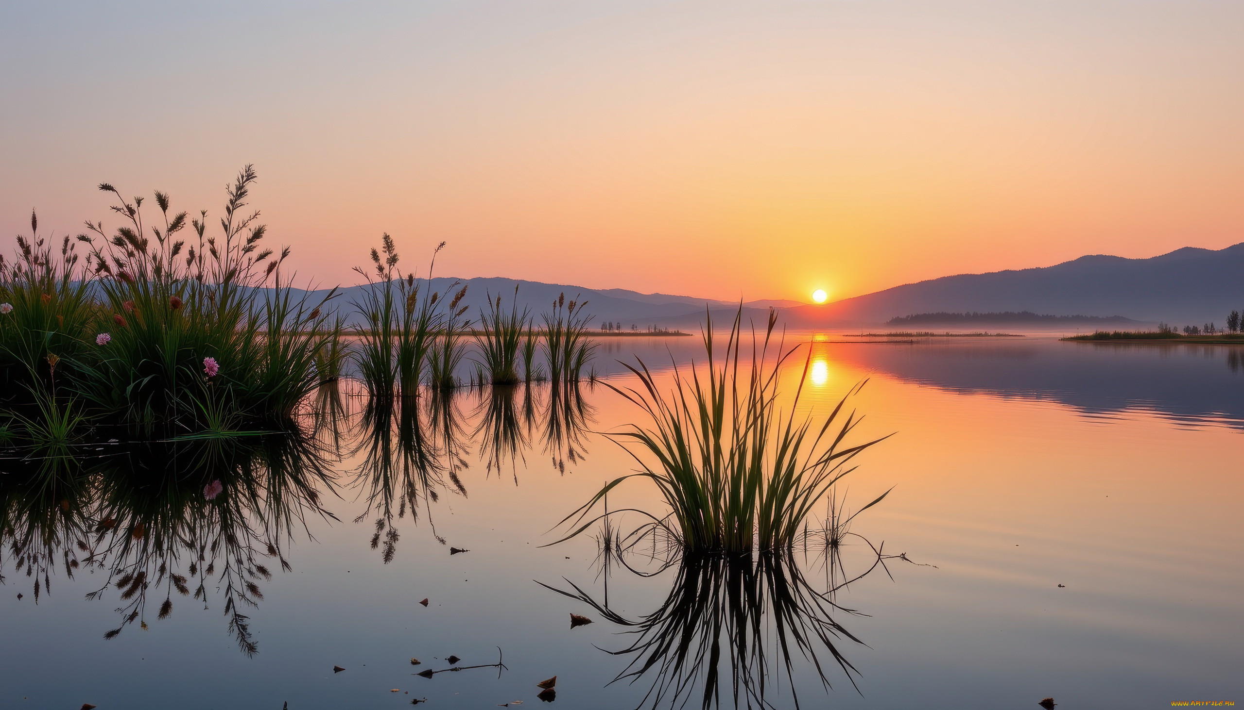 ����� wp stl, 3� �������, ������� , nature, ����, ����, �����, ������